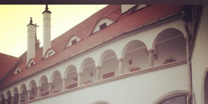 Saunový svet s fínskou, infra, írskou saunou a vírivkou