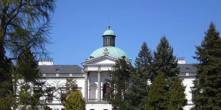 Klasická, aromaterapeutická či lahodná čokoládová masáž