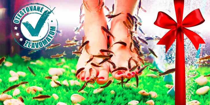 Biomanikúra a biopedikúra s rybičkami Garra Rufa
