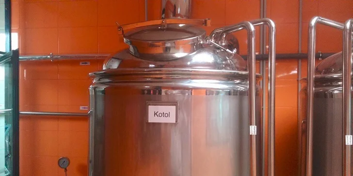 Gyros v placke s hranolčekmi