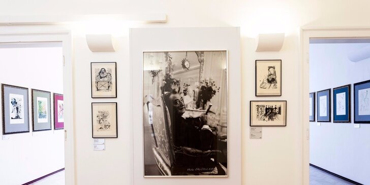 Vstupenky na výstavy Saudek 80, Salvadora Dalí a I'm OK – Andy Warhol