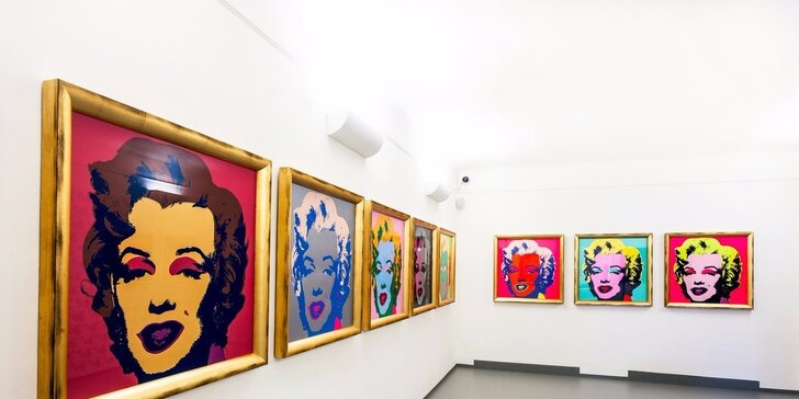 Vstupenky na výstavy Saudek 80, Salvadora Dalí a I'm OK – Andy Warhol
