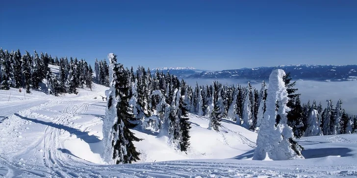 Pobyt priamo pri SKIPARK Malinô Brdo v hoteli Hrabovo ** s wellnessom
