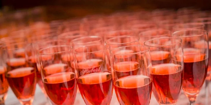 Luxusný Silvester v HOLIDAY INN Trnava s možnosťou zábavy v štýle LAS VEGAS, zvýhodnené podmienky pre deti!