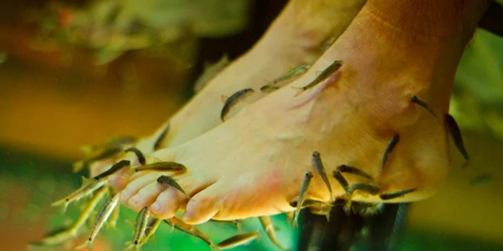 Úžasne príjemná biopedikúra chodidiel rybičkami Garra Rufa