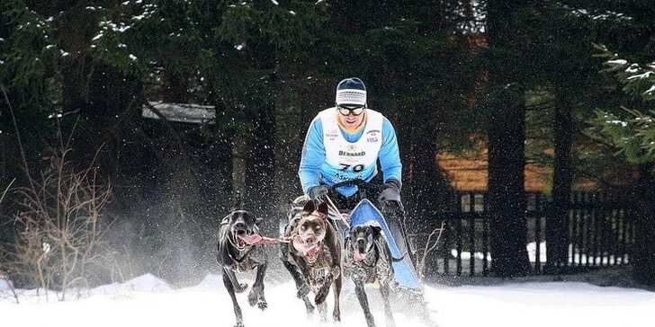 Psie záprahy, sane, štvorkolky - užite si adrenalínovú zimu!