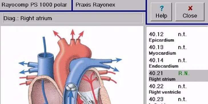 Spolu nájdeme odpoveď - Diagnostika vášho zdravia