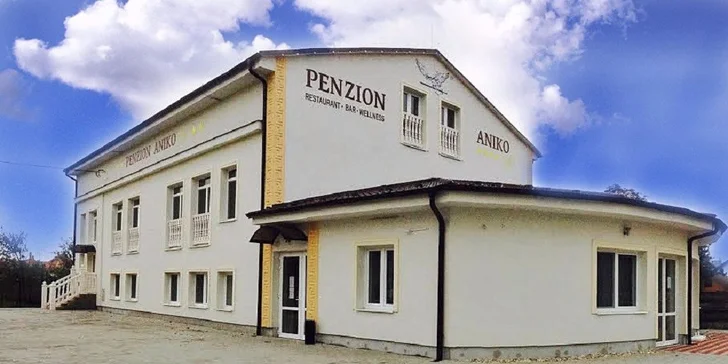 Vypnite a zrelaxujte na wellness pobyte v Penzióne Aniko GOLD****, blízko termálneho kúpaliska. Dieťa do 10 rokov ubytovanie zdarma!