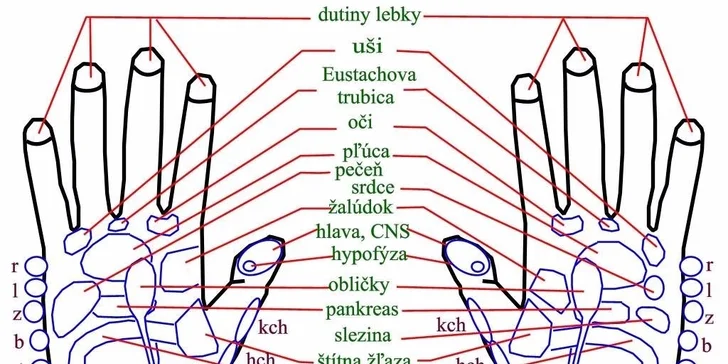 Vysokokvalitné uvoľňujúce relaxačné masáže – vyberte si z viacerých druhov!