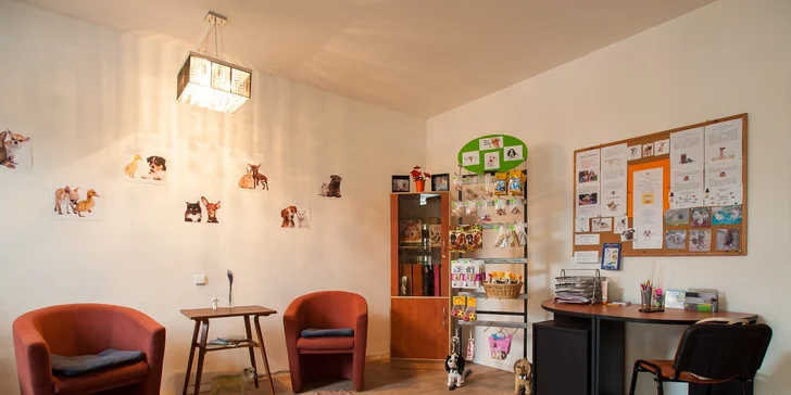 Hotel a škôlka pre vášho domáceho miláčika