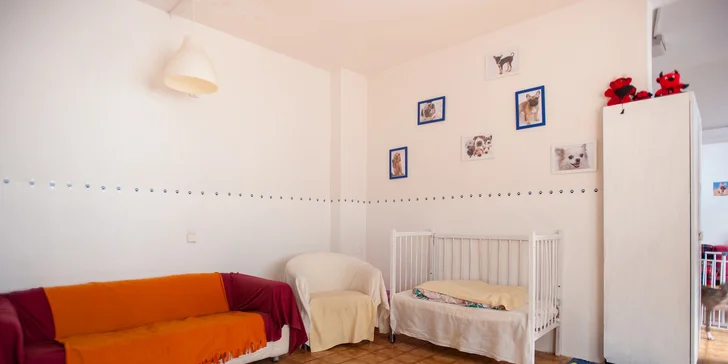 Hotel a škôlka pre vášho domáceho miláčika