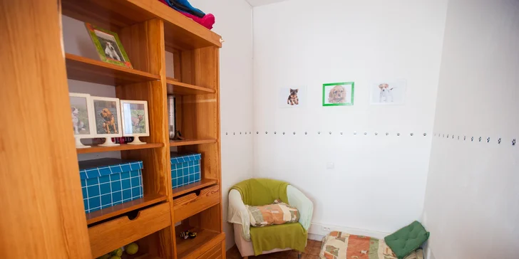 Hotel a škôlka pre vášho domáceho miláčika