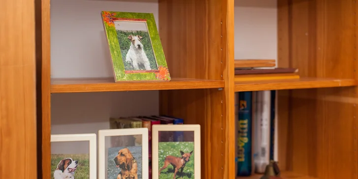 Hotel a škôlka pre vášho domáceho miláčika