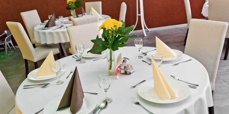 Relax s neobmedzeným wellness v štýlovom penzióne PRECEDENS**