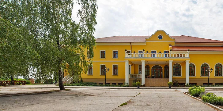 Vychutnajte si jar v harmonickom prostredí kúpeľného mesta Veľký Meder a načerpajte novú energiu v Hoteli*** Plauter Kúria!