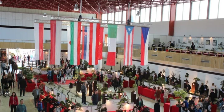 Lístok s prednostným vstupom na výstavu Gardenia Bonsai Slovakia Domexpo Solaris Nitra 2016