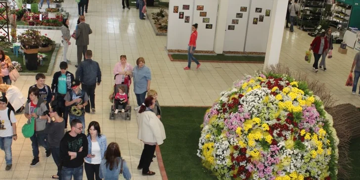 Lístok s prednostným vstupom na výstavu Gardenia Bonsai Slovakia Domexpo Solaris Nitra 2016