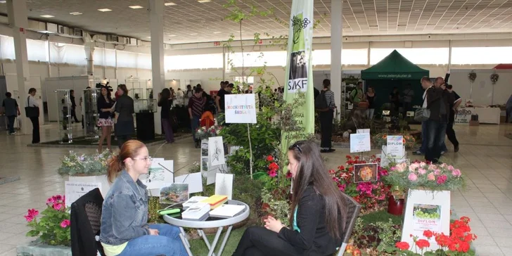 Lístok s prednostným vstupom na výstavu Gardenia Bonsai Slovakia Domexpo Solaris Nitra 2016