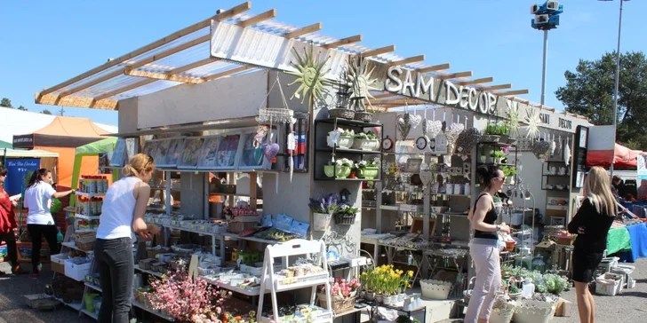 Lístok s prednostným vstupom na výstavu Gardenia Bonsai Slovakia Domexpo Solaris Nitra 2016