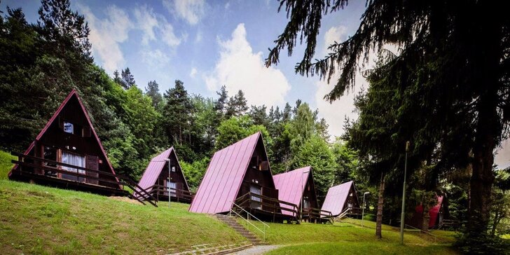 Dovolenkujte v malebnom údolí Strážovskej pahorkatiny v Horskom hoteli Magura*** s polpenziou alebo plnou penziou. Deti do 3 rokov zdarma!