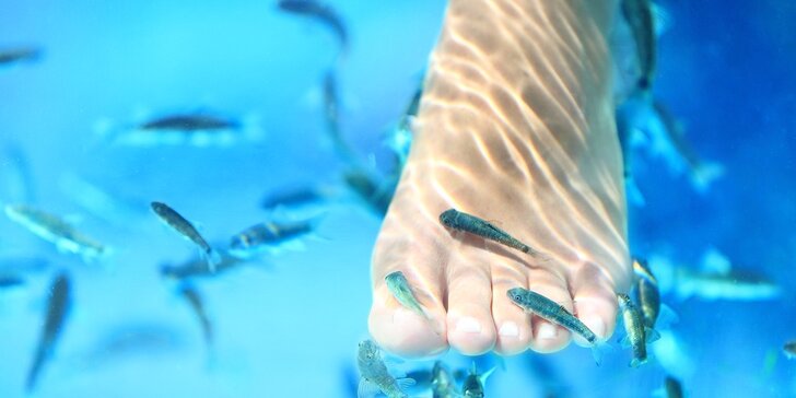 Nechajte rybích lekárov vyliečiť vaše nohy ba aj celé telo!