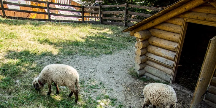 Aktívna rodinná dovolenka v nových komfortných apartmánoch v prekrásnom horskom prostredí v Malej Fatre