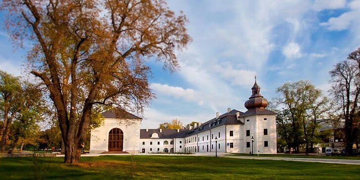 Luxusný WELLNESS & SPA pobyt v barokovom kaštieli Château Appony**** s ubytovaním vo vyššom štandarde cez týždeň, platnosť do konca septembra!