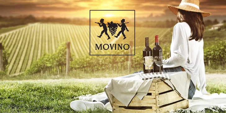 VIP vínny pas na 5. ročník Dni vína MOVINO