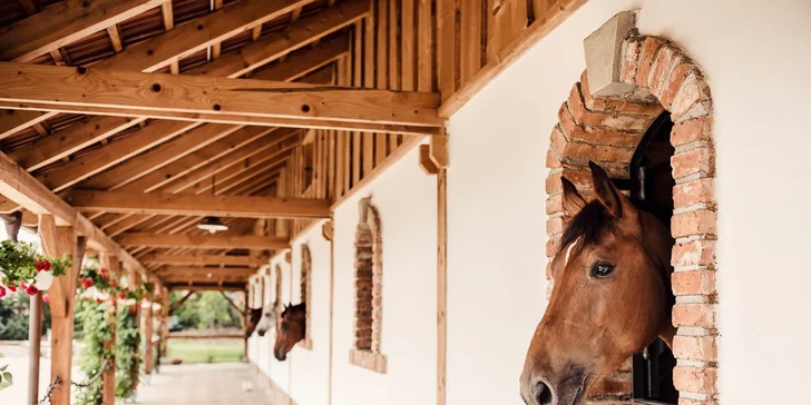 Romantický wellness pobyt v exkluzívnom penzióne Zwicker