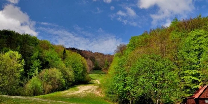 Pobyt s privátnym wellness centrom len pre Vás dvoch v štýlovom penzióne Sant Bernard***