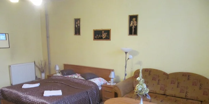 Relax pod Spišským hradom s polpenziou