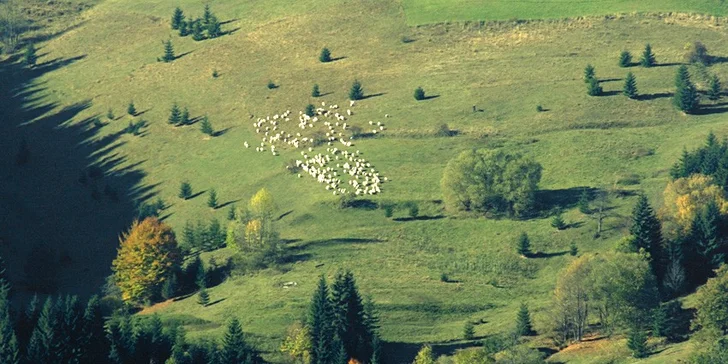 Víkendový wellness pobyt v novozrekonštruovanom horskom hoteli Havrania*** s unikátnou panorámou Malej Fatry