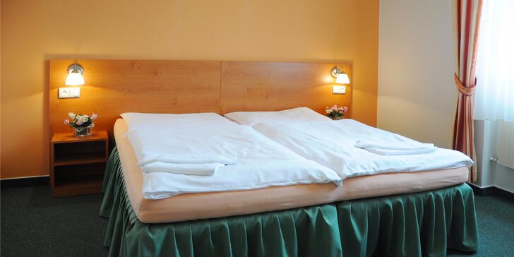 Hotel Apollon*** Kráľovský pobyt vo Valticiach, hlavnom meste vína v Čechách