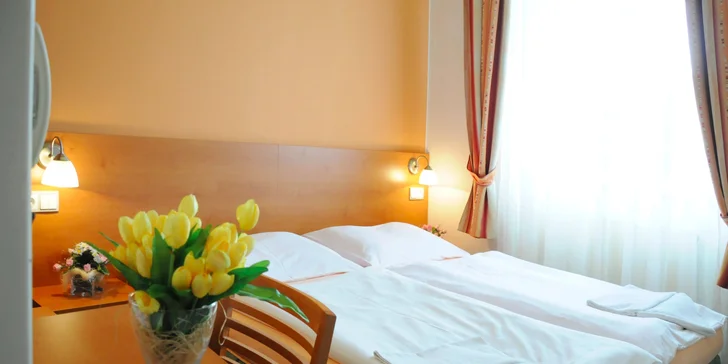 Hotel Apollon*** Kráľovský pobyt vo Valticiach, hlavnom meste vína v Čechách