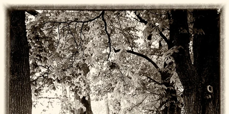 Profesionálne ateliérové alebo exteriérové fotografovanie, aj špeciálne zábavné fotografovanie detí