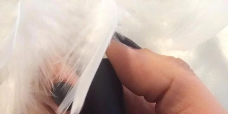 Shellac, velvet manikúra alebo dlhotrvácne lakovanie s radom Vinylux v profi salóne