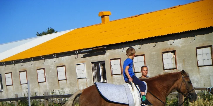 Deti a koníky na ranči a zázračná liečba koňom