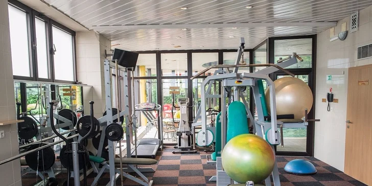 Celodenný vstup alebo permanentka na 5 vstupov do wellness centra hotela Holiday Inn v Bratislave
