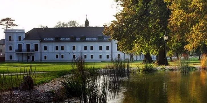Luxusný WELLNESS & SPA pobyt v barokovom kaštieli Château Appony**** s ubytovaním vo vyššom štandarde cez týždeň, platnosť do konca septembra!