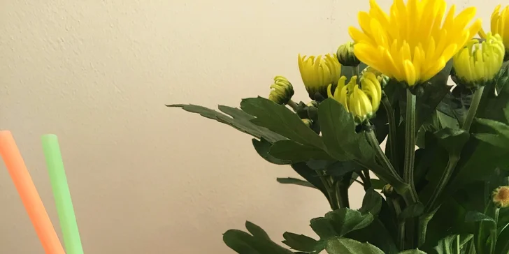 Domáci slaný koláč Quiche so šalátom a sviežou ovocnou limonádou