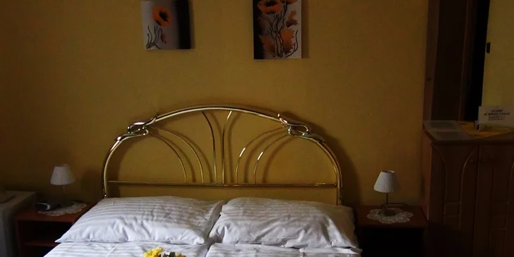 Relax pod Spišským hradom s polpenziou