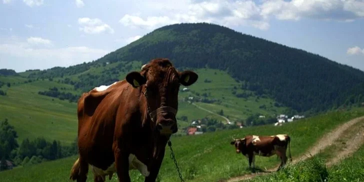 Zázrivá! To pravé miesto pre rodinnú pohodu v zimnej prírode!