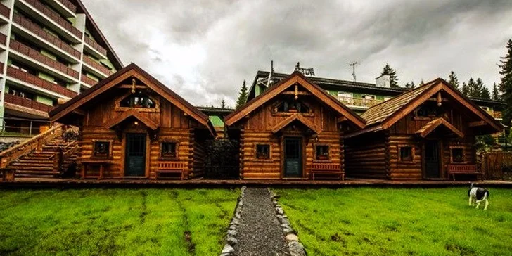 Nezabudnuteľná letná wellness dovolenka v Nezábudke*** s polpenziou alebo ALL INCLUSIVE, Vysoké Tatry, platnosť do konca roka!