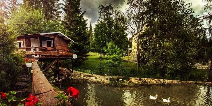Nezabudnuteľná letná wellness dovolenka v Nezábudke*** s polpenziou alebo ALL INCLUSIVE, Vysoké Tatry, platnosť do konca roka!