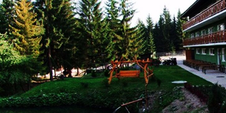 Nezabudnuteľná letná wellness dovolenka v Nezábudke*** s polpenziou alebo ALL INCLUSIVE, Vysoké Tatry, platnosť do konca roka!