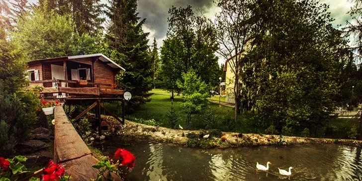 Nezabudnuteľná letná wellness dovolenka v Nezábudke*** s polpenziou alebo ALL INCLUSIVE, Vysoké Tatry, platnosť do konca roka!