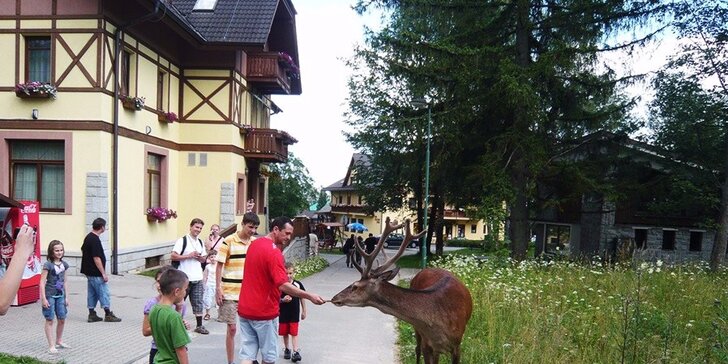 Čarovný pobyt v srdci Tatranskej Lomnice v Penzióne VILA PARK*** + 2 deti do 13,99 rokov ZDARMA!