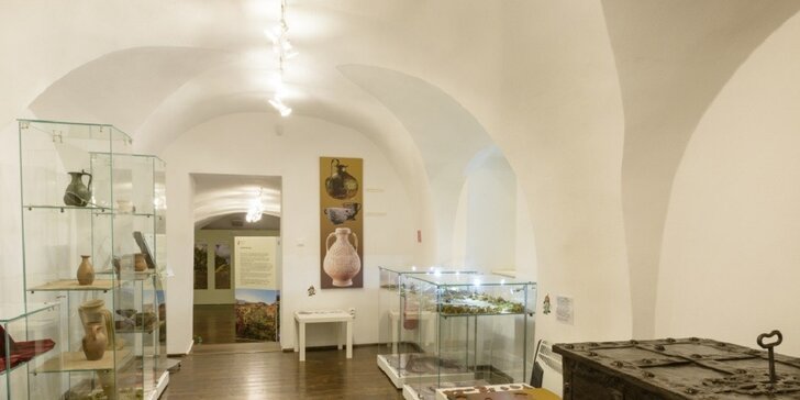 Prehliadka expozícií Príbeh vína a Dejiny vinohradníctva a vinárstva pod Malými Karpatami a všetkých prebiehajúcich výstav v Malokarpatskom múzeu v Pezinku