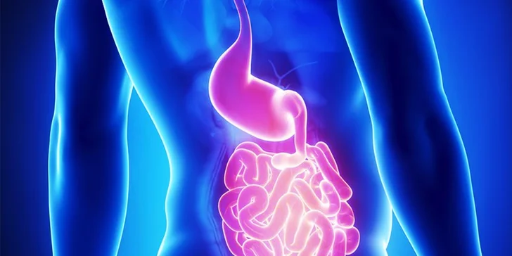 Testovanie znášanlivosti potravín a porúch metabolizmu alebo komplexné vyšetrenie a toxická mapa organizmu a diagnostika črevnej flóry