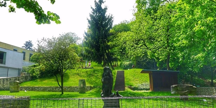 Denný športovo-vzdelávací tábor pre deti od 6 do 12 rokov! Leto 2016!